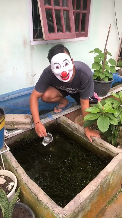 pencuri ikan 😱 #shorts #ikan #fish #comedy #trending