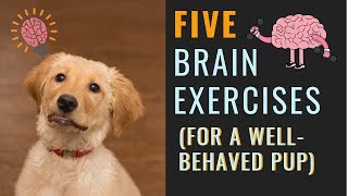 Dog Mental Exercise (For A More Relaxed Dog)