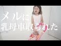 【イヤイヤ期】メルちゃんに乳母車を取られてブチギレる【激おこ】