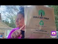 Xl dollar tree haul plus bonus walkthrough footage  31724