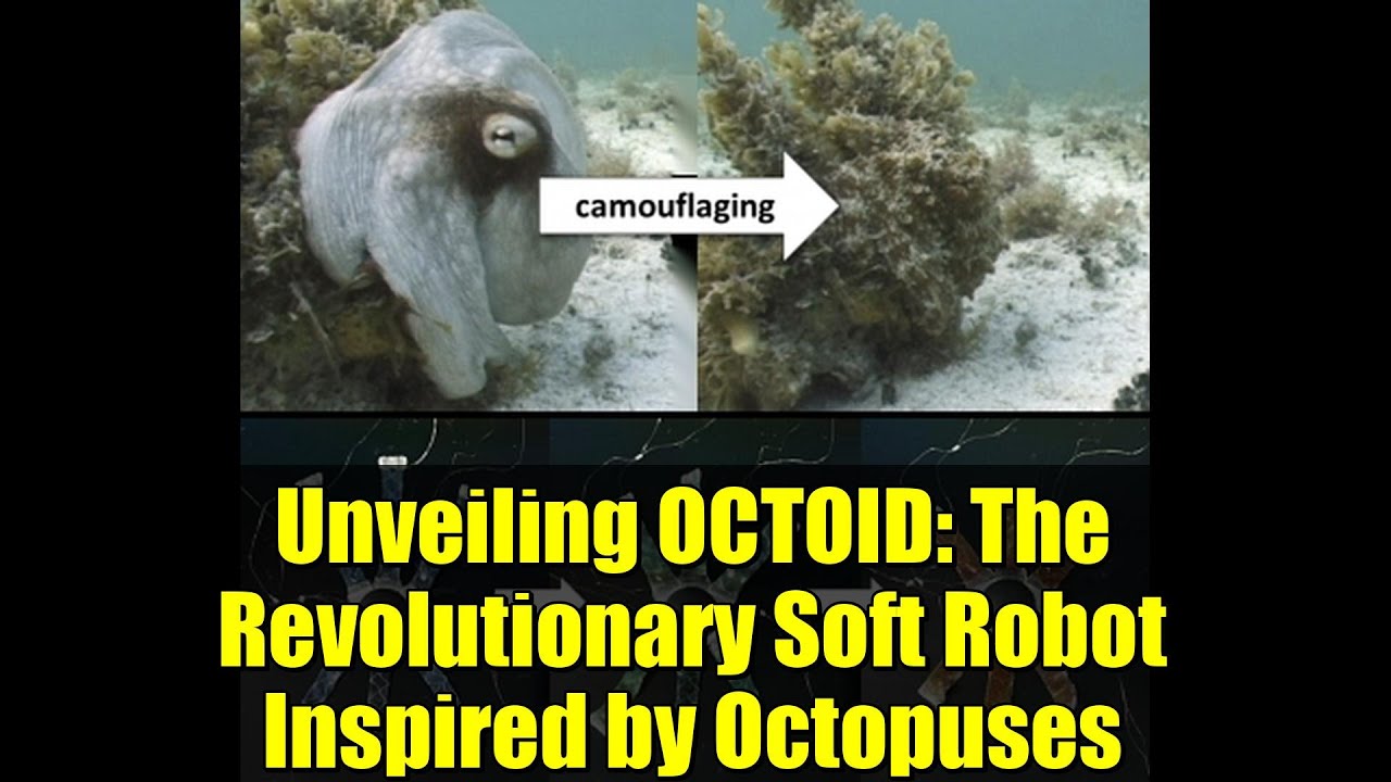 Octoid Unveiling OCTOID: The Revolutionary Soft Robot Inspired by Octopuses ...