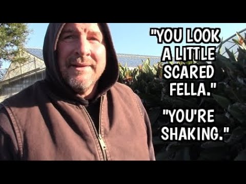 1st Amendment Audit, Drunk Weed Farmer Tries To Intimidate Us For Public Filming