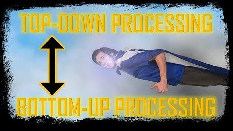 FLEX Time - Bottom Up & Top Down Processing