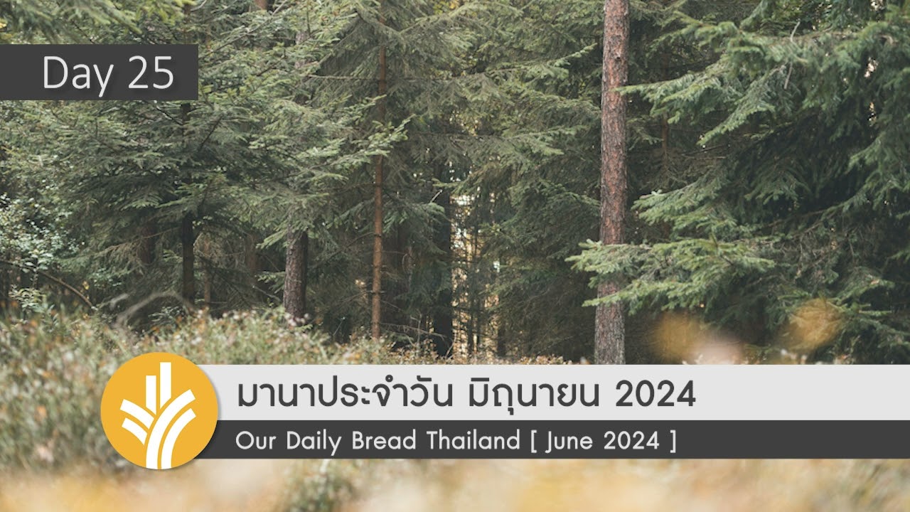 ยอร์นผู้ถ่อมตน / Humble Jørn