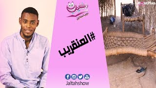 #العنقريب ( برنامج مشلعيب ) نجيب اسماعيل @nagiebismaiel