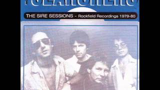 Video thumbnail of "The Searchers-Silver"