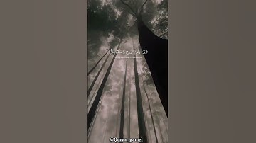 ﴿ يَوْمَ يَقُومُ الرُّوحُ وَالْمَلَائِكَةُ صَفًّا ۖ ﴾ القارئ"عبدالرحمن مسعد" صوت تقشعر له الأبدان 🤍😴