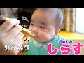 初めてのしらす！最近ブーってやるようになりました【生後7ヶ月】Yune can now “boo”. She eats whitebait for the first time.