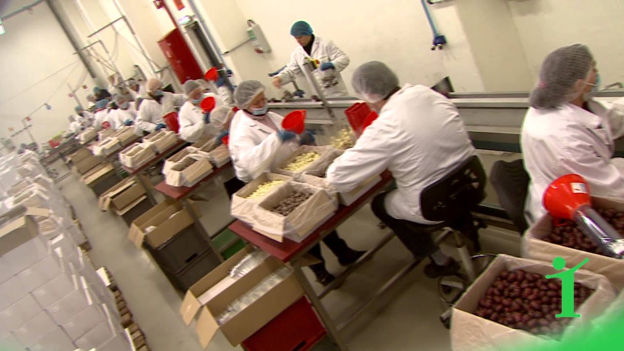 Demival Verpakking Nieuw