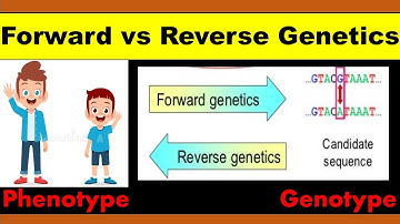Forward vs Reverse Genetics for beginners | difference between forward and reverse genetics |