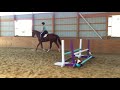 R Stewball (barefoot) 1st ride off the track 9-25-17