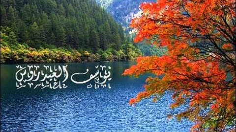 تلاوه خاشعة  من سورة الانبياء للشيخ يوسف العيدروس