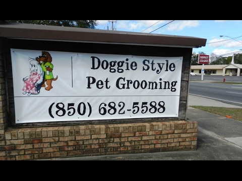 doggie style pet grooming Doggie style pet grooming