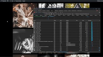 Oxygen Builder Gallery Lazyloading Check