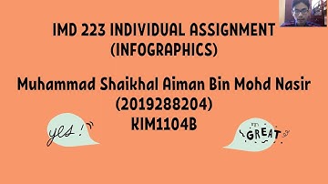 Presentation Individual Assignment IMD 223 (INFOGRAPHIC)
