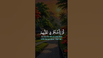 قران كريم #اكسبلورعدد اللايكات على محبين القران الكريم