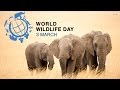 Sustaining all life on earth   world wildlife day