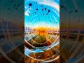 Caminho de Luz”#tutorial #youtubeshorts #edit #photoediting #fotoscriativas #picsart #shorts