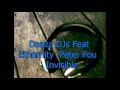 Danza djs feat ethernity  peter pouinvisible