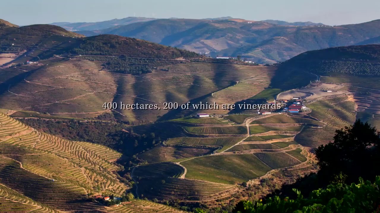 Quinta de Ventozelo - Know more about this beautiful state