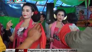 BOJO LORO - TRESNO SUCI // MADYO LARAS PULE TRENGGALEK LIVE BPK.BOY