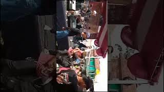 midua cinta x Azozing Domba Kuring versi ska