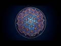 Release Stress • Reset Nervous System • 8 Hour Deep Sleep with 528Hz + 432Hz | BLACK SCREEN