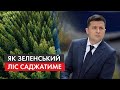 Ліс Зеленського: чи реально висадити в Україні 1 мілрд дерев за три роки та як втілюватимуть проєкт