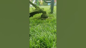 Cutting long grass with a Stihl strimmer / string strimmer #shorts  #lawncare #asmr #satisfying