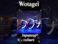 Japanese culture『ヲタ芸/wotagei』!!AMAZING!!! #ヲタ芸 #re_delta #lighttoys