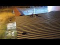 Gatos pelean en el techo de la vecina (epico)