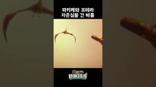 [공룡메카드 타이니소어] 3화 short - 파키케와 프테라 자존심을 건 배틀