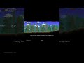 Playing Terraria For the First Time