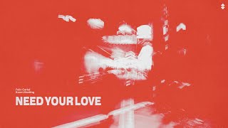 Felix Cartal, Karen Harding - Need Your Love  Resimi
