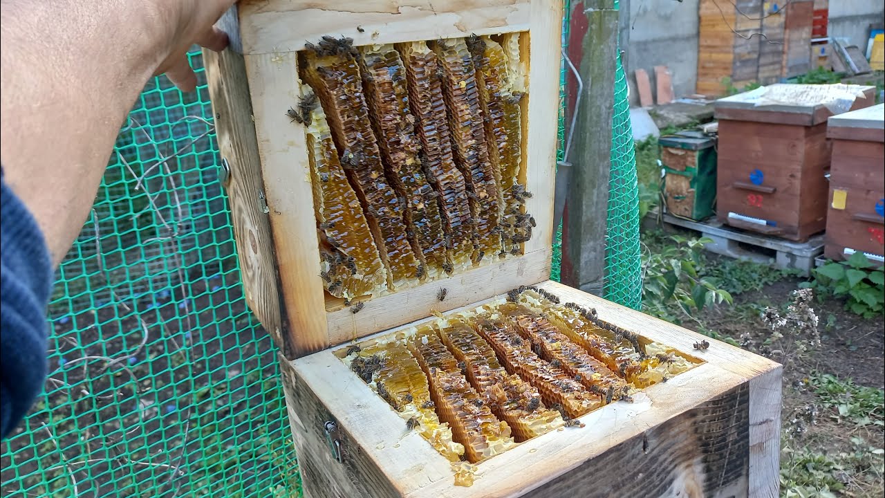 Содержание пчел в ульях-лежаках на 24 и 20 рамок (с видео)
