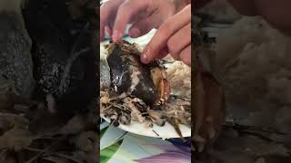 Come spend a week in Ahe with me 🤍✨ I’ll be living on farm, tucked away in the Tuamotu islands of