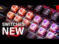 These New ROG Switches Change EVERYTHING!