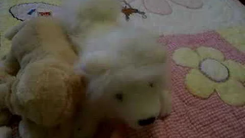 Meet my two new Webkinz