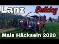 Maissilage 2020 - LANZ Bulldogs im Einsatz! [D2016,D6016,D6516]