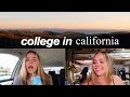 college vlog- frat party, midterms, mental health