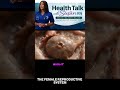 WHY YOU FEEL ONE SIDED PAIN DURING OVULATION #ovulation  #pregnancy