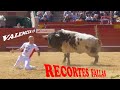 ✅2019 VALENCIA13 ◾ FALLAS Campeonato España de Recortes