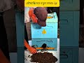 মৌমাছির কলোনি নিয়ন্ত্রণ: রানি মৌমাছিকে ধরার রোমাঞ্চকর পদ্ধতি।#shortvideo #shorts #trending