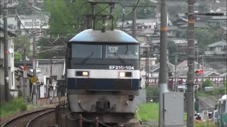 【尾道～東尾道】EF210-104[吹]牽引　貨物列車(遅)8057レ　【HD】2014.08.23