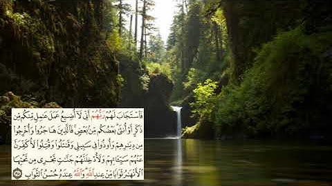 صفحة-76- page سعد الغامدي - -سورة ال عمران -Al-Imran