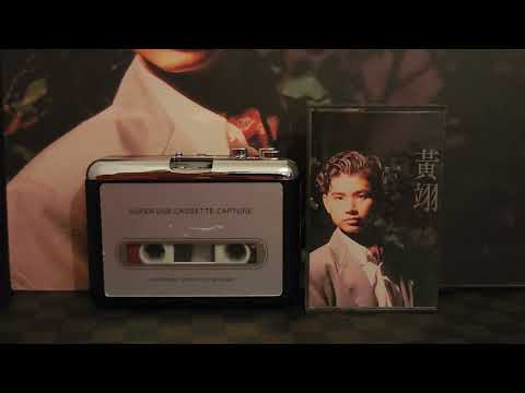 王菲 (王靖雯) / 黄翊 - 遲到的愛