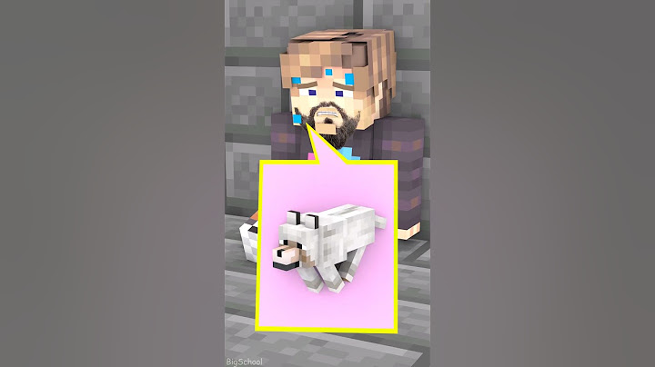 Does Mr.Beast'S Brave Dog Deserve To Go To Heaven Or Go Down Hell?