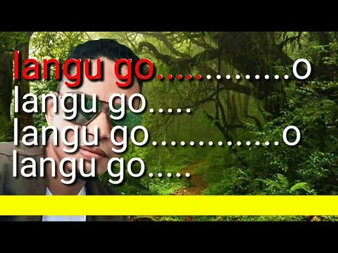 karaoke no vokal  lagu manggarai terbaru LANGU GO by. EMBONG LEMOT Official