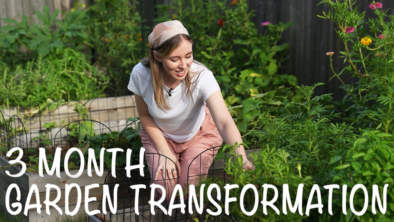 Home Garden Transformation Tour (3 Months) - YouTube