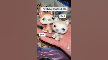 Childhood LPS and Their Stories ❤️ #lps #littlestpetshop #nostalgia #nostalgic #toycollector #cute